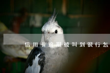 信用卡逾期被叫到银行怎么办 信用卡逾期被叫到银行怎么办