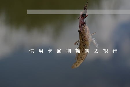 信用卡逾期被叫去银行 信用卡逾期被叫去银行