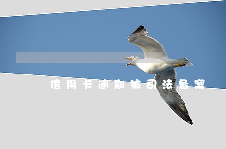 信用卡逾期被司法备案 信用卡逾期被司法备案