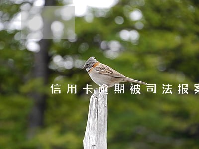 信用卡逾期被司法报案 信用卡逾期被司法报案
