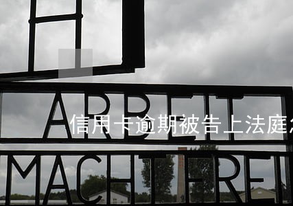 信用卡逾期被告上法庭怎么查询 信用卡逾期被告上法庭怎么查询