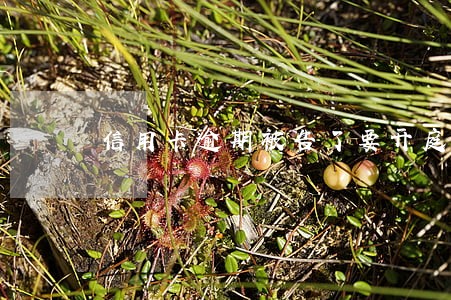 信用卡逾期被告了要开庭 信用卡逾期被告了要开庭