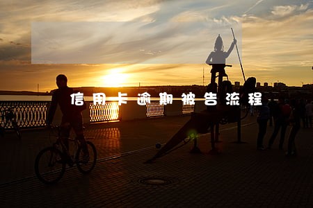 信用卡逾期被告流程