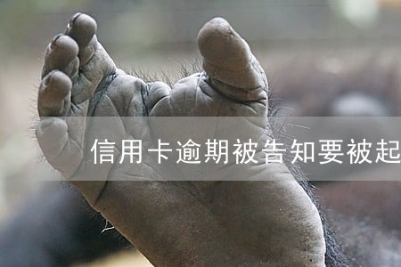 信用卡逾期被告知要被起诉 信用卡逾期被告知要被起诉