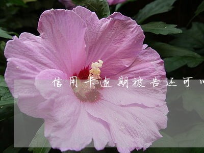 信用卡逾期被告还可以分期吗 信用卡逾期被告还可以分期吗