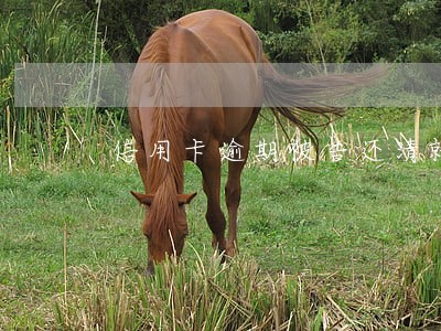 信用卡逾期被告还清就行吗
