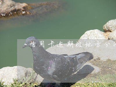 信用卡逾期被地方分行起诉