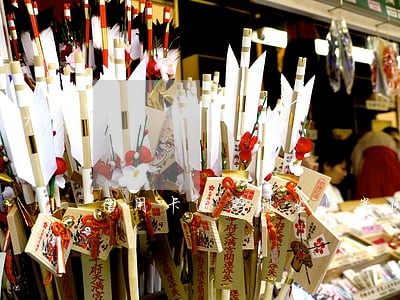 信用卡逾期被坐牢案例 信用卡逾期被坐牢案例