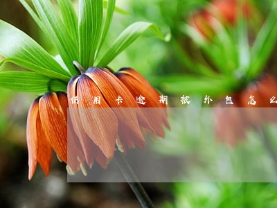 信用卡逾期被外包怎么协商 信用卡逾期被外包怎么协商