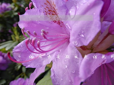 信用卡逾期被失信执行会坐牢吗 信用卡逾期被失信执行会坐牢吗