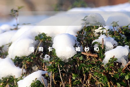 信用卡逾期被妙扣 信用卡逾期被妙扣