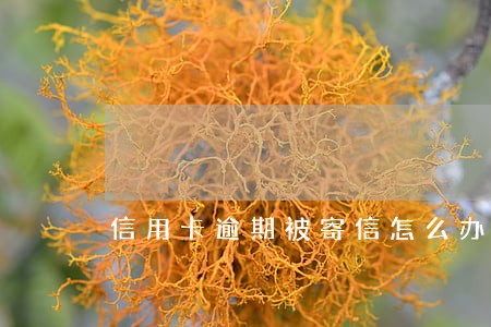 信用卡逾期被寄信怎么办