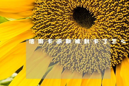信用卡逾期被封卡了怎么还钱 信用卡逾期被封卡了怎么还钱