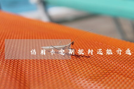 信用卡逾期被封还能开通么 信用卡逾期被封还能开通么
