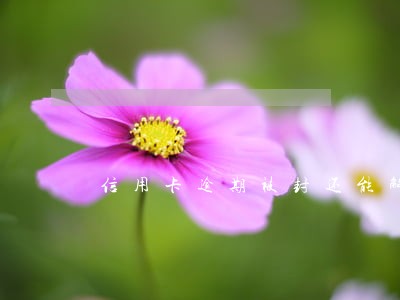 信用卡逾期被封还能解封吗 信用卡逾期被封还能解封吗