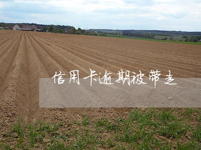 信用卡逾期被带走 信用卡逾期被带走