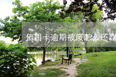 信用卡逾期被废怎么还款 信用卡逾期被废怎么还款