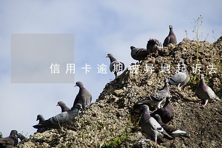 信用卡逾期被异地起诉去不了 信用卡逾期被异地起诉去不了