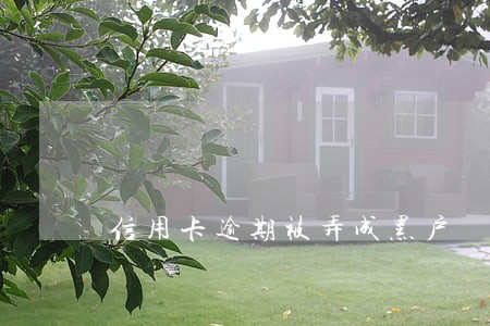 信用卡逾期被弄成黑户 信用卡逾期被弄成黑户