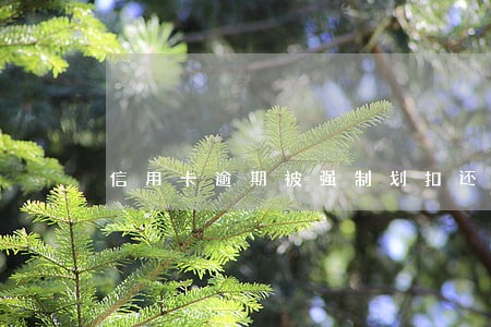 信用卡逾期被强制划扣还能要回来吗 信用卡逾期被强制划扣还能要回来吗