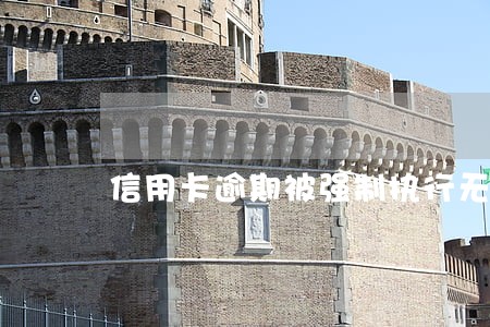 信用卡逾期被强制执行无财产咋办 信用卡逾期被强制执行无财产咋办