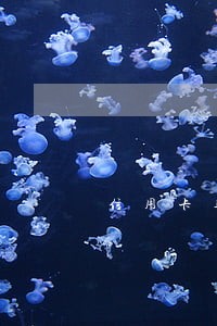 信用卡逾期被强制支付令 信用卡逾期被强制支付令