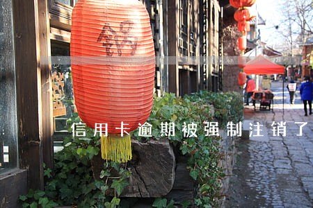 信用卡逾期被强制注销了怎么办 信用卡逾期被强制注销了怎么办