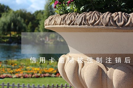 信用卡逾期被强制注销后怎么办 信用卡逾期被强制注销后怎么办