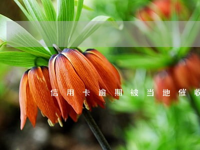 信用卡逾期被当地催收人员贴条