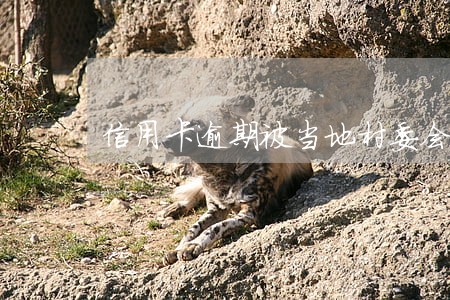 信用卡逾期被当地村委会通知吗 信用卡逾期被当地村委会通知吗