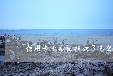 信用卡逾期被征信了怎么办 信用卡逾期被征信了怎么办