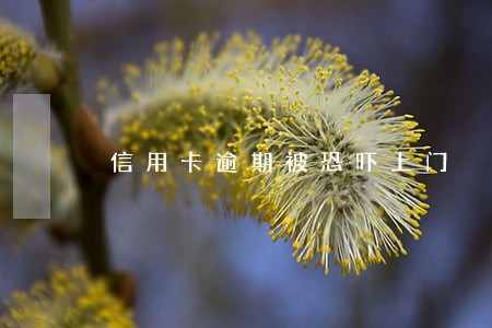 信用卡逾期被恐吓上门 信用卡逾期被恐吓上门