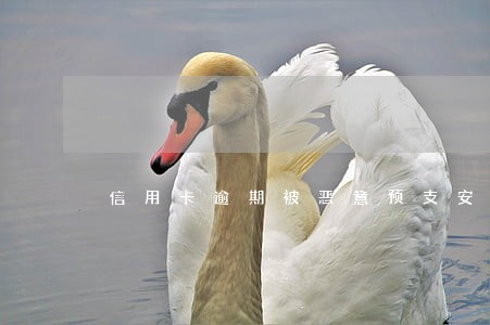 信用卡逾期被恶意预支安件 信用卡逾期被恶意预支安件