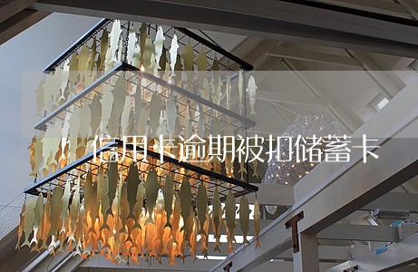 信用卡逾期被扣储蓄卡