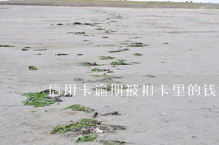 信用卡逾期被扣卡里的钱 信用卡逾期被扣卡里的钱