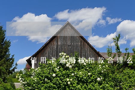 信用卡逾期被扣款合理么
