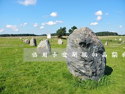 信用卡逾期被扣高额利息如何投诉 信用卡逾期被扣高额利息如何投诉