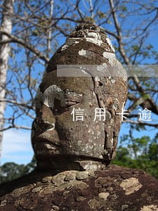 信用卡逾期被执行