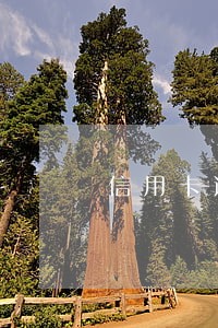 信用卡逾期被执行了会封微信吗
