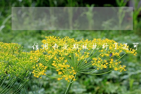 信用卡逾期被执行了还可以协商吗 信用卡逾期被执行了还可以协商吗