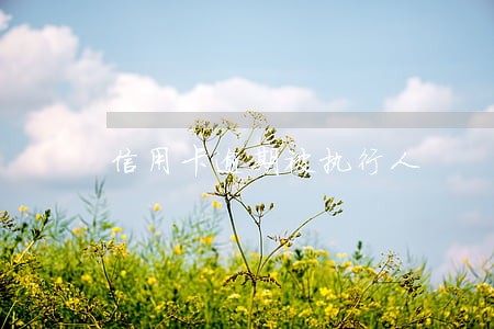 信用卡逾期被执行人