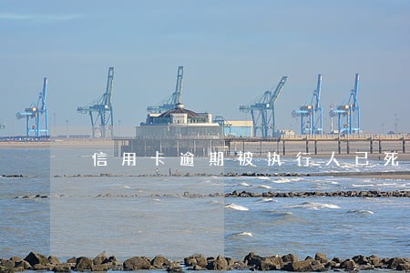 信用卡逾期被执行人已死亡无遗产 信用卡逾期被执行人已死亡无遗产