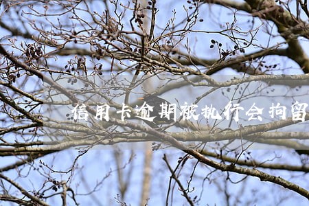 信用卡逾期被执行会拘留多久 信用卡逾期被执行会拘留多久