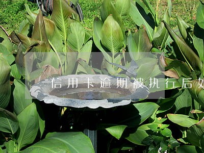 信用卡逾期被执行后如何还款