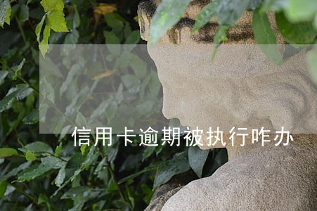 信用卡逾期被执行咋办 信用卡逾期被执行咋办