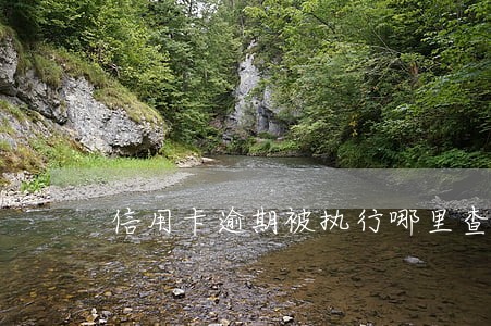 信用卡逾期被执行哪里查得到 信用卡逾期被执行哪里查得到