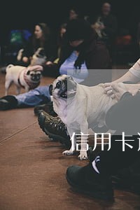 信用卡逾期被执行怎么调节 信用卡逾期被执行怎么调节