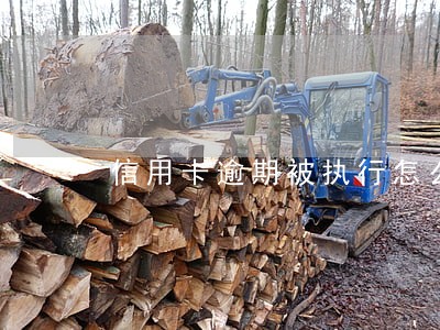 信用卡逾期被执行怎么调解