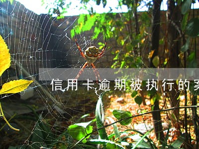 信用卡逾期被执行的案例 信用卡逾期被执行的案例