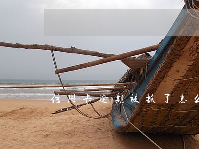 信用卡逾期被抓了怎么办 信用卡逾期被抓了怎么办